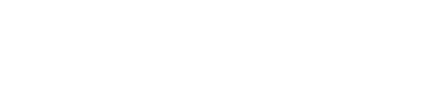 logo MecapAuto_reserve